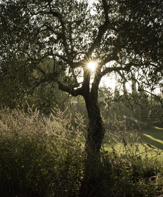 Tenuta Santo Pietro Pienza Kültér fotó